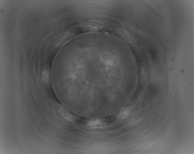 X0000073860177200608170951