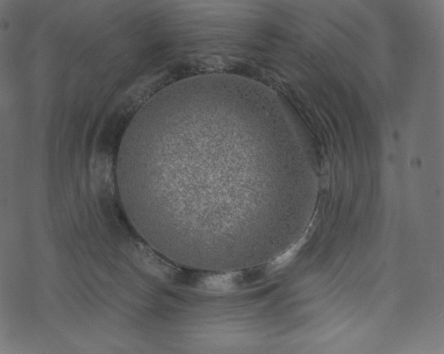 X0000073860178200608170951