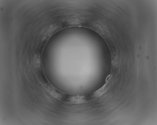 X0000073860179200608170951