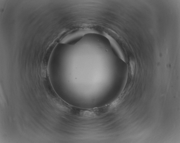 X0000073860180200608170951