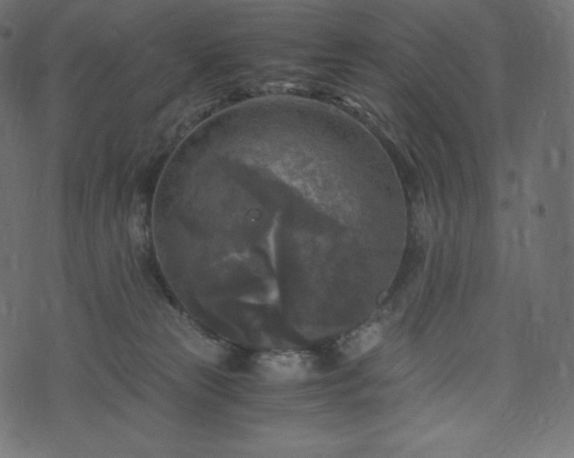 X0000073860181200608170951