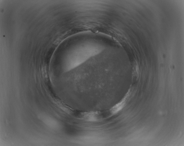 X0000073860182200608170951