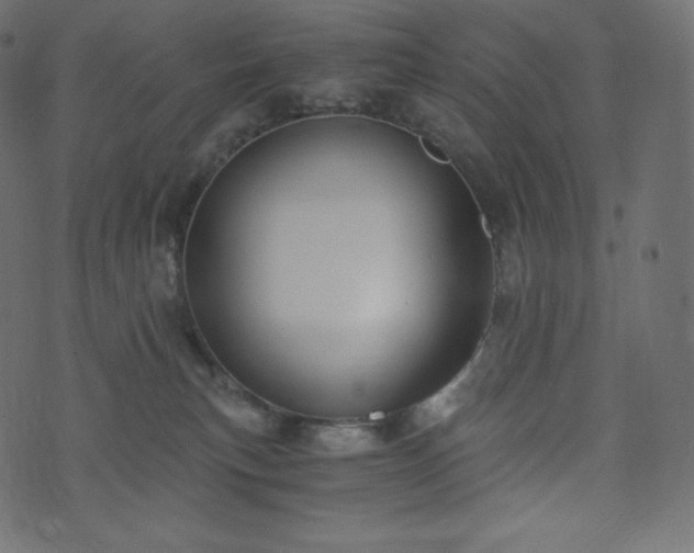 X0000073860183200608170951