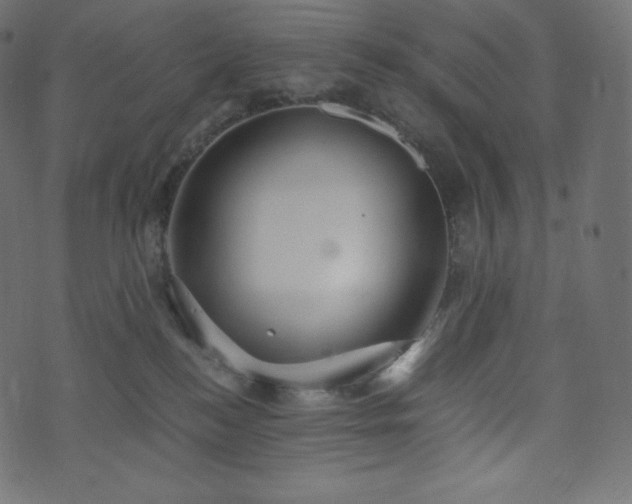 X0000073860184200608170951