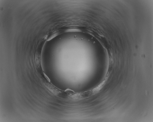 X0000073860186200608170951