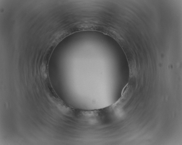 X0000073860187200608170951