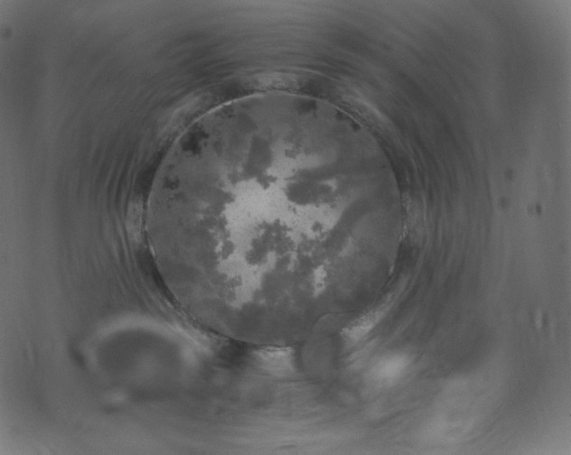 X0000073860189200608170951