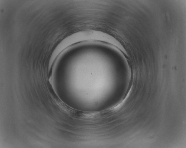 X0000073860190200608170951