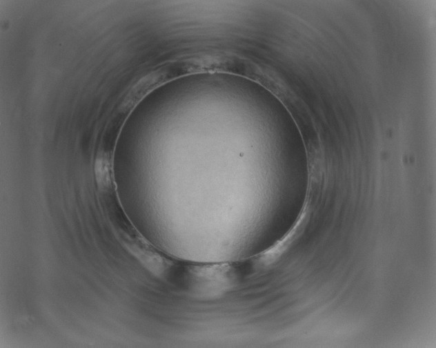 X0000073860191200608170952