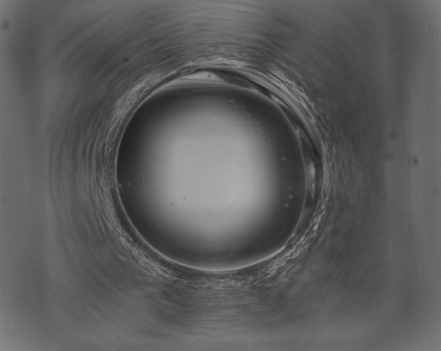 X0000073860193200608170951