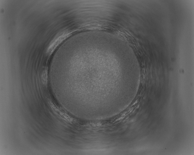 X0000073860194200608170951