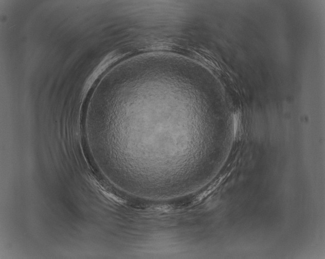 X0000073860195200608170951