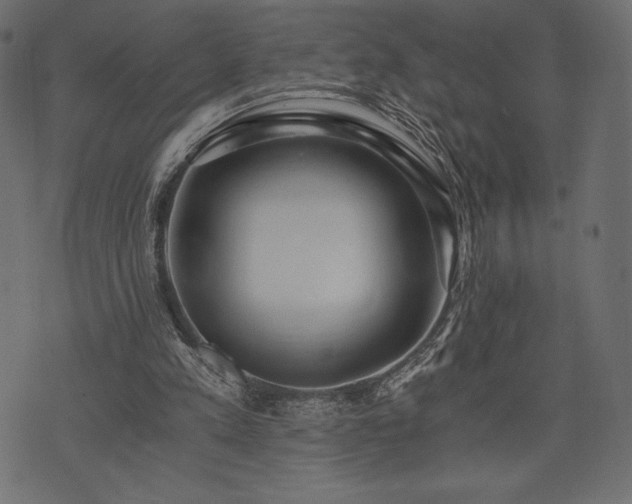 X0000073860197200608170951