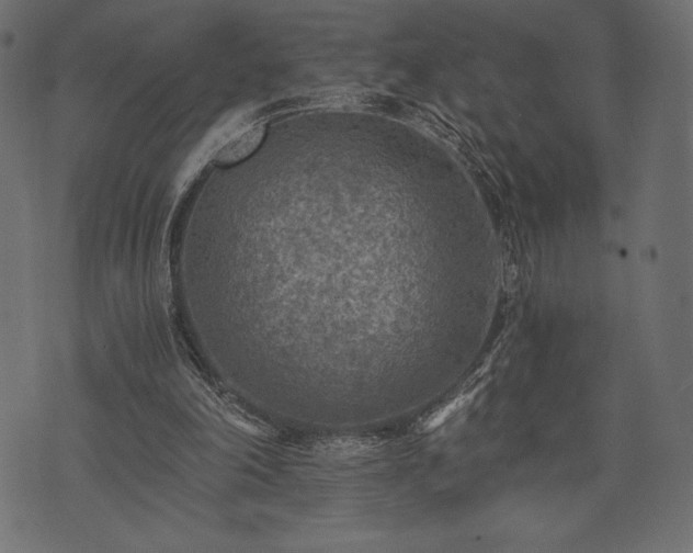 X0000073860198200608170951