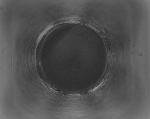 X0000073860200200608170951