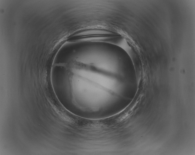 X0000073860201200608170951