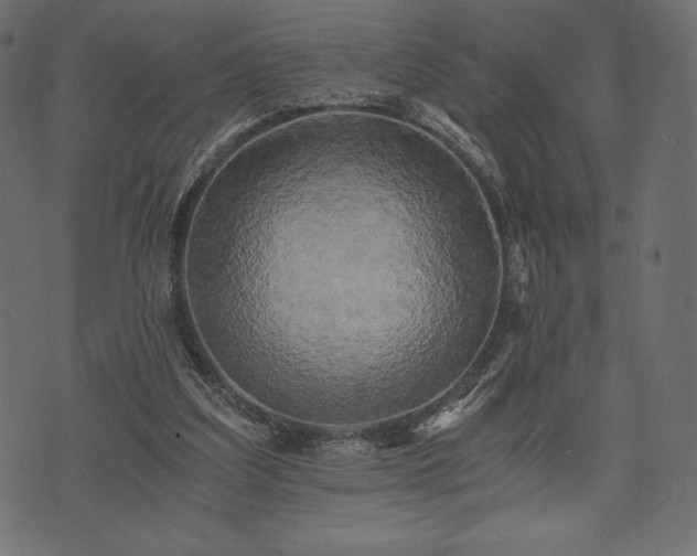 X0000073860203200608170951