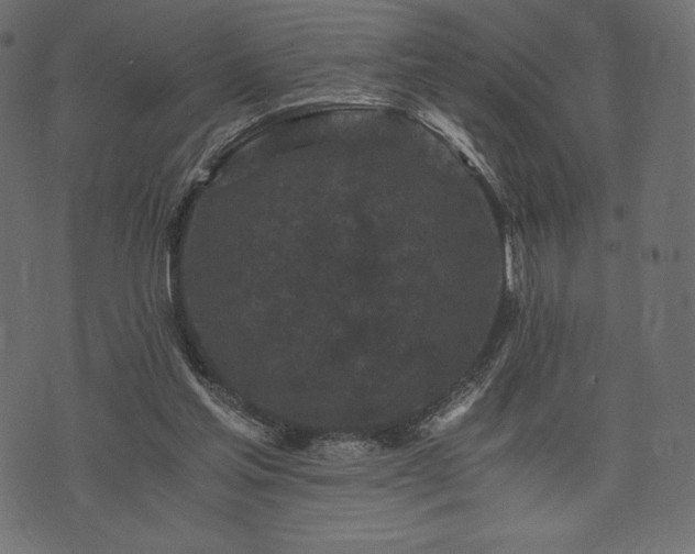 X0000073860205200608170951