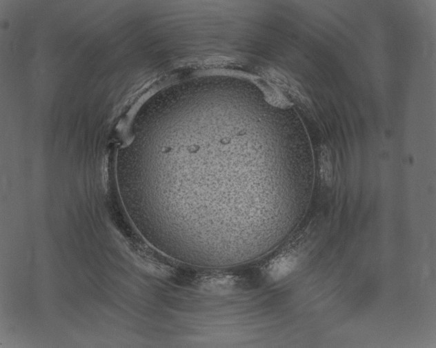 X0000073860206200608170951