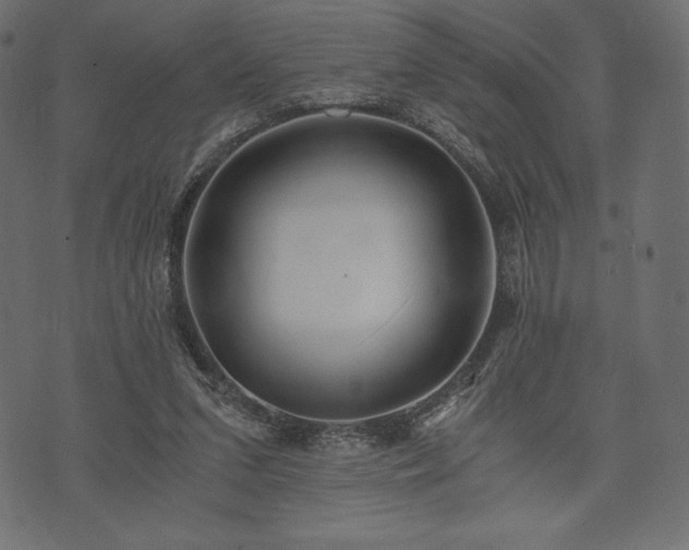 X0000073860207200608170951