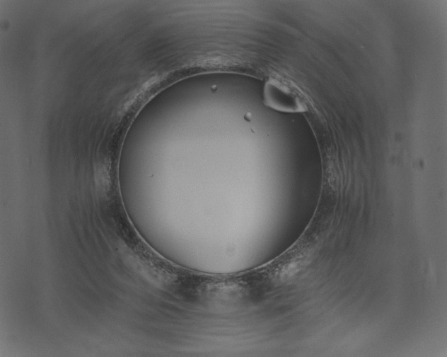 X0000073860208200608170951