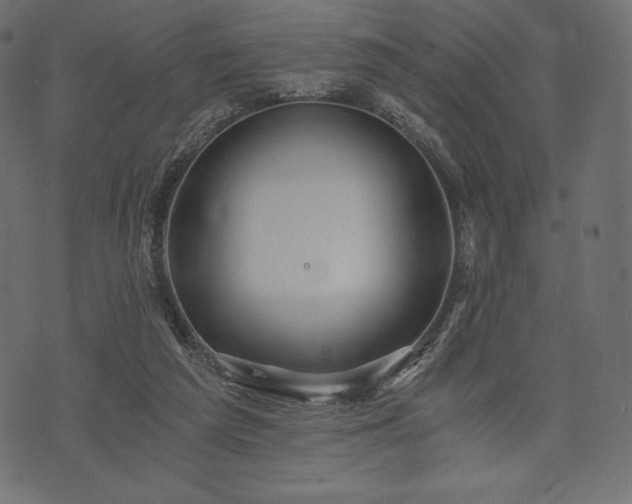 X0000073860209200608170950