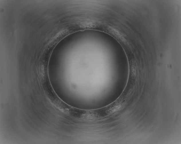 X0000073860211200608170950