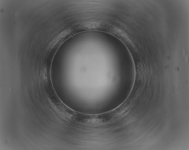 X0000073860212200608170950