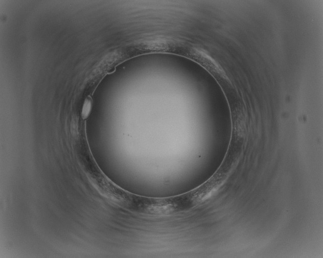 X0000073860213200608170950