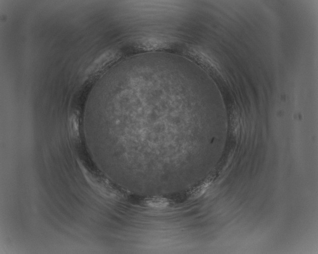 X0000073860214200608170950