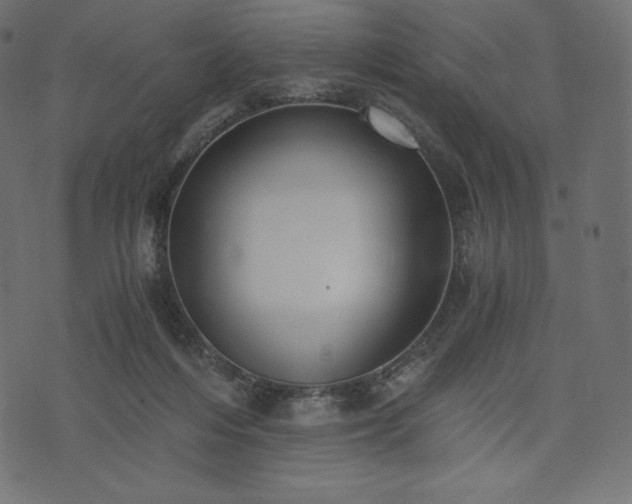 X0000073860216200608170950