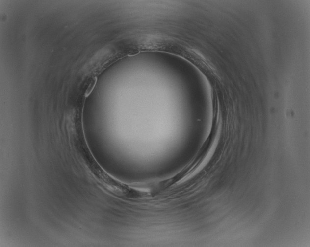 X0000073860217200608170950