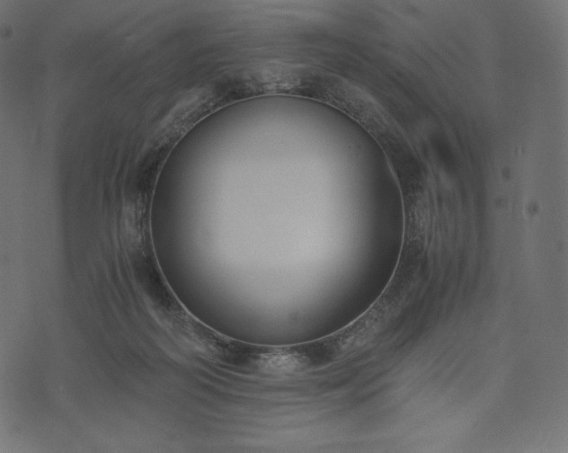 X0000073860218200608170950