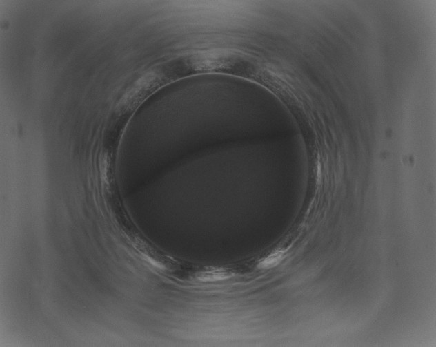 X0000073860219200608170950