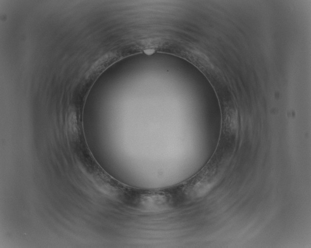 X0000073860220200608170950