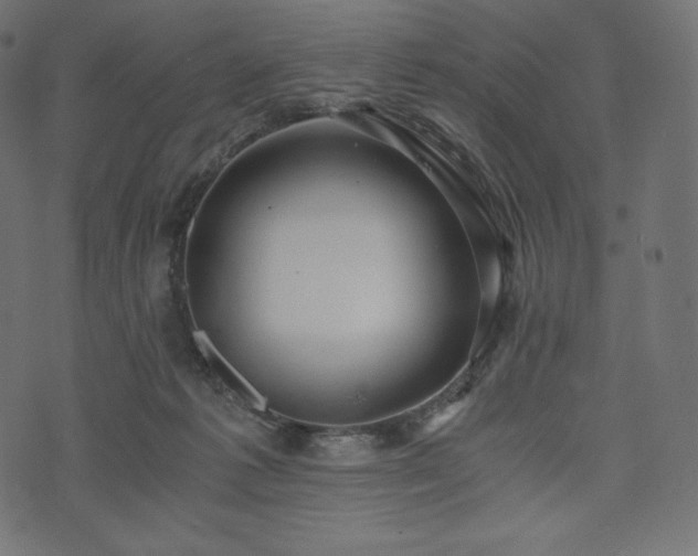 X0000073860221200608170950