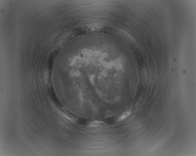 X0000073860222200608170950