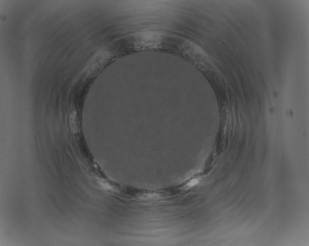 X0000073860224200608170950