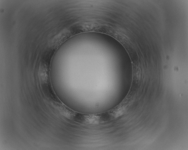 X0000073860226200608170950