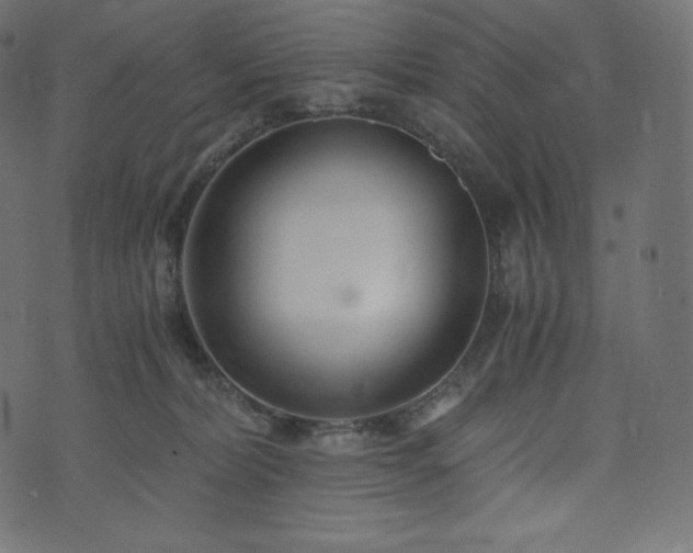 X0000073860228200608170950