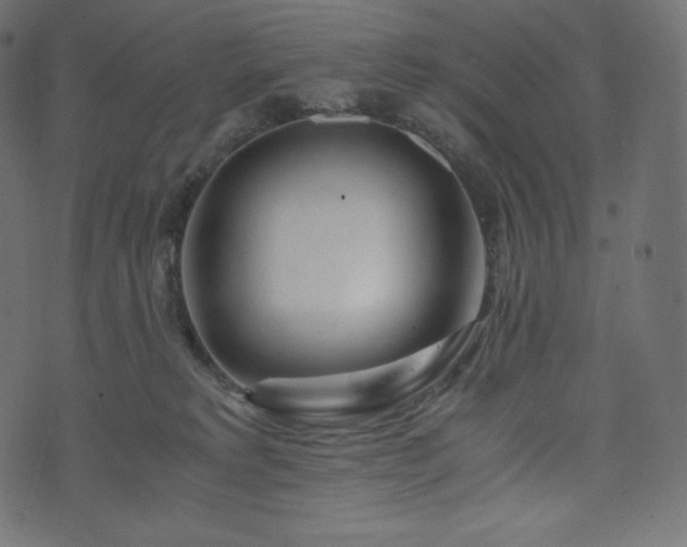 X0000073860229200608170950