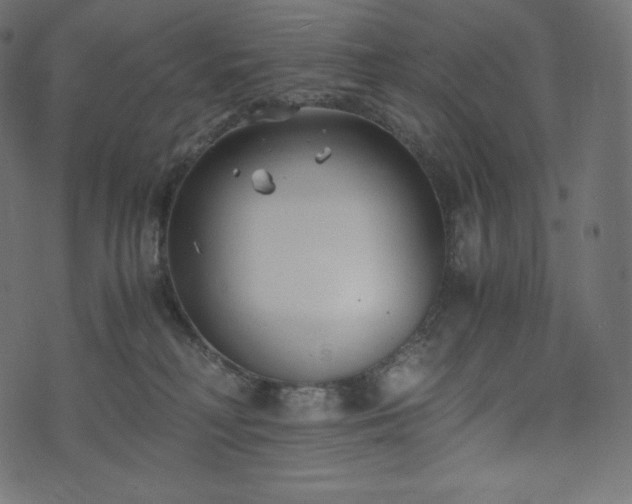 X0000073860230200608170950