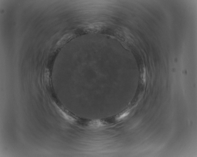 X0000073860231200608170950