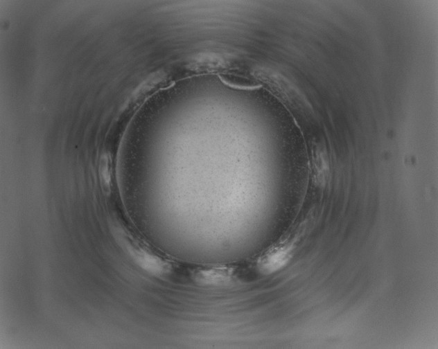 X0000073860232200608170950