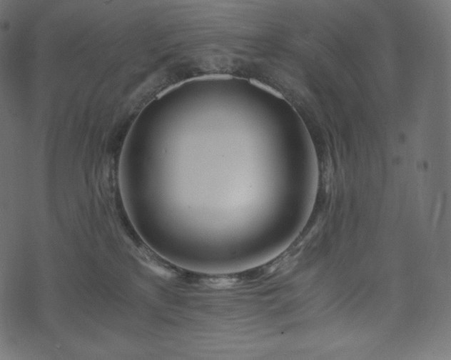 X0000073860233200608170950