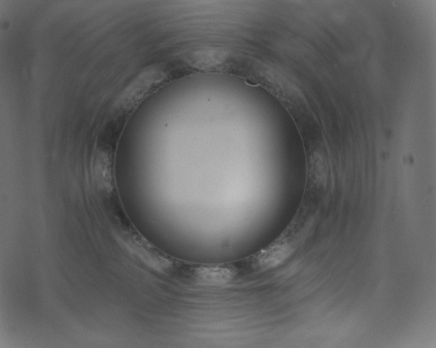 X0000073860234200608170950