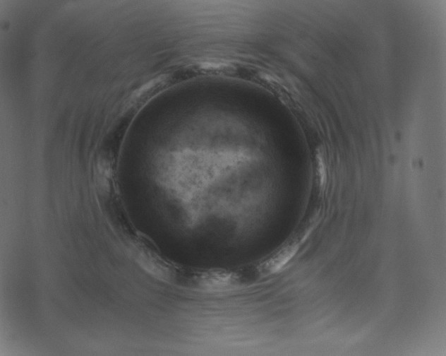 X0000073860235200608170950