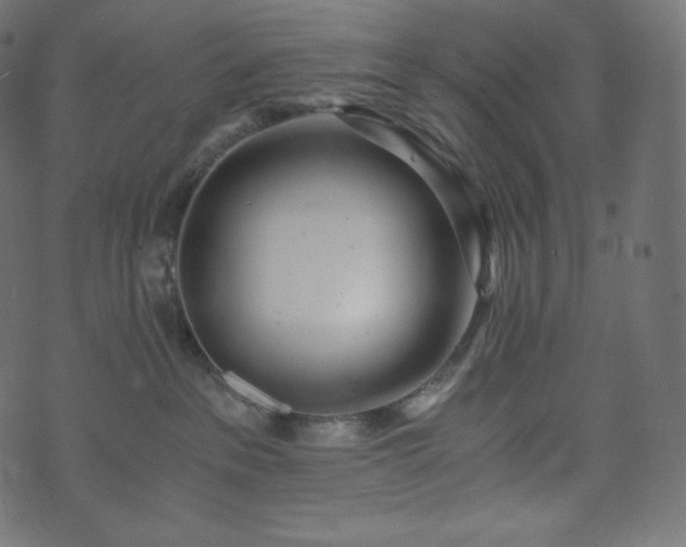 X0000073860237200608170950