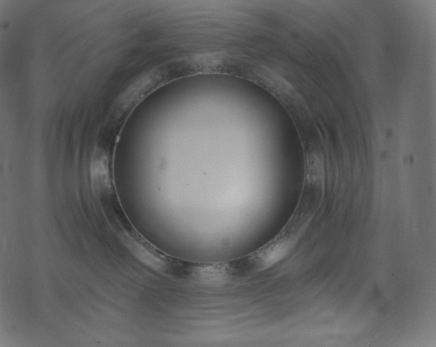 X0000073860238200608170950