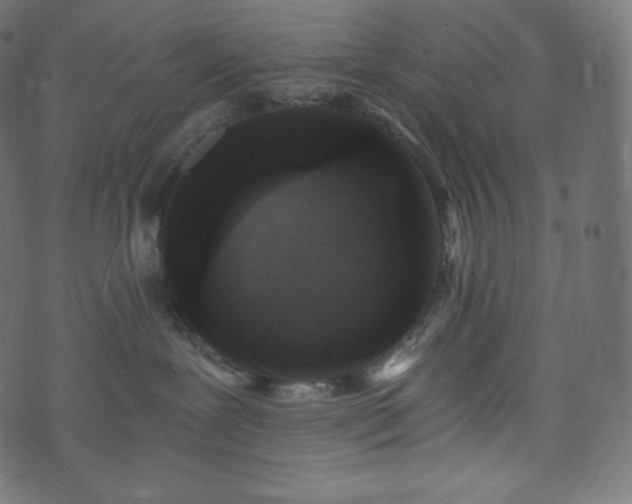 X0000073860239200608170950